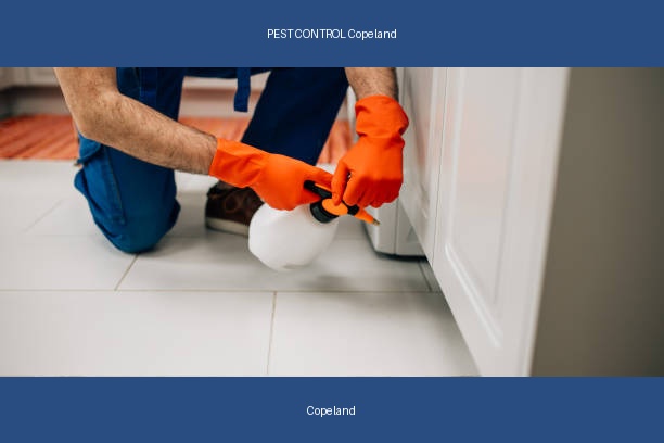 PEST CONTROL Copeland